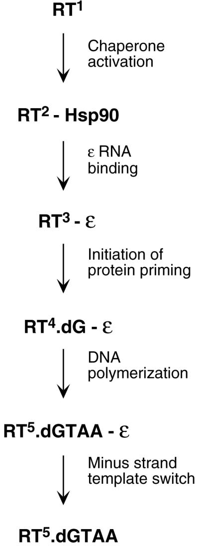 FIG. 7.