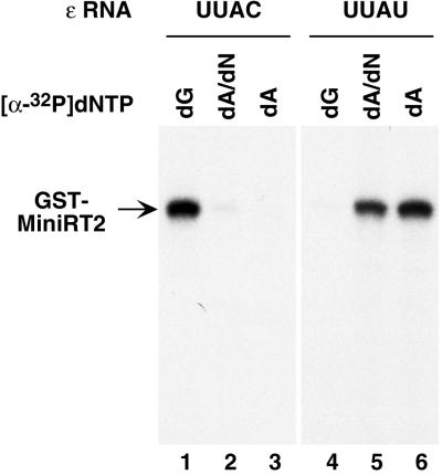 FIG. 5.