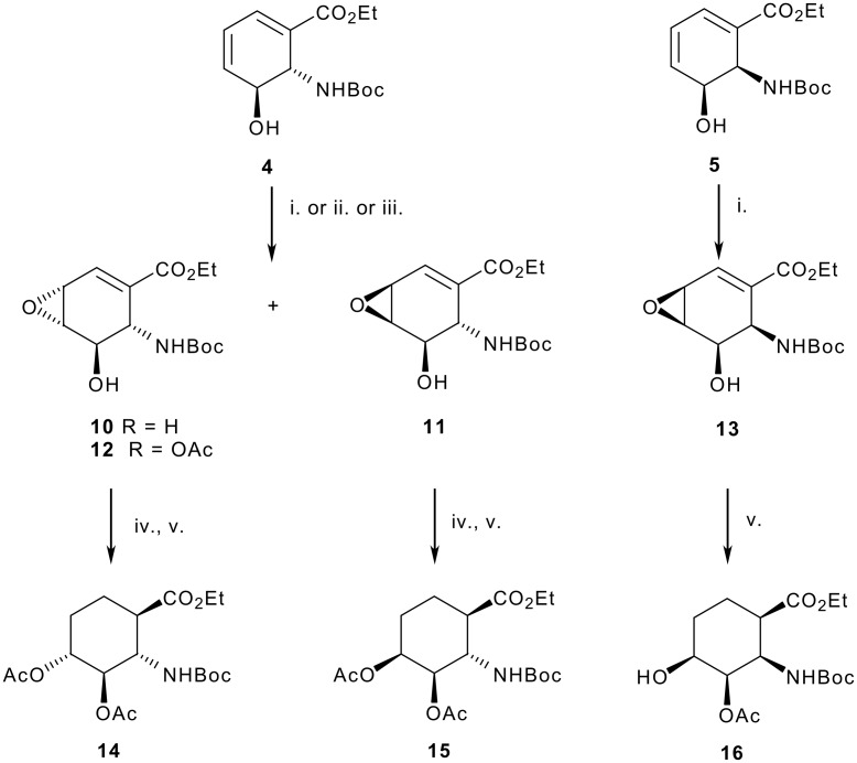 Scheme 3