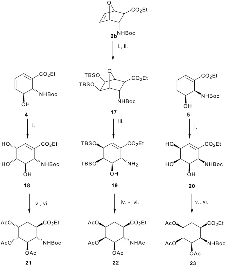 Scheme 4