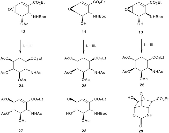 Scheme 5