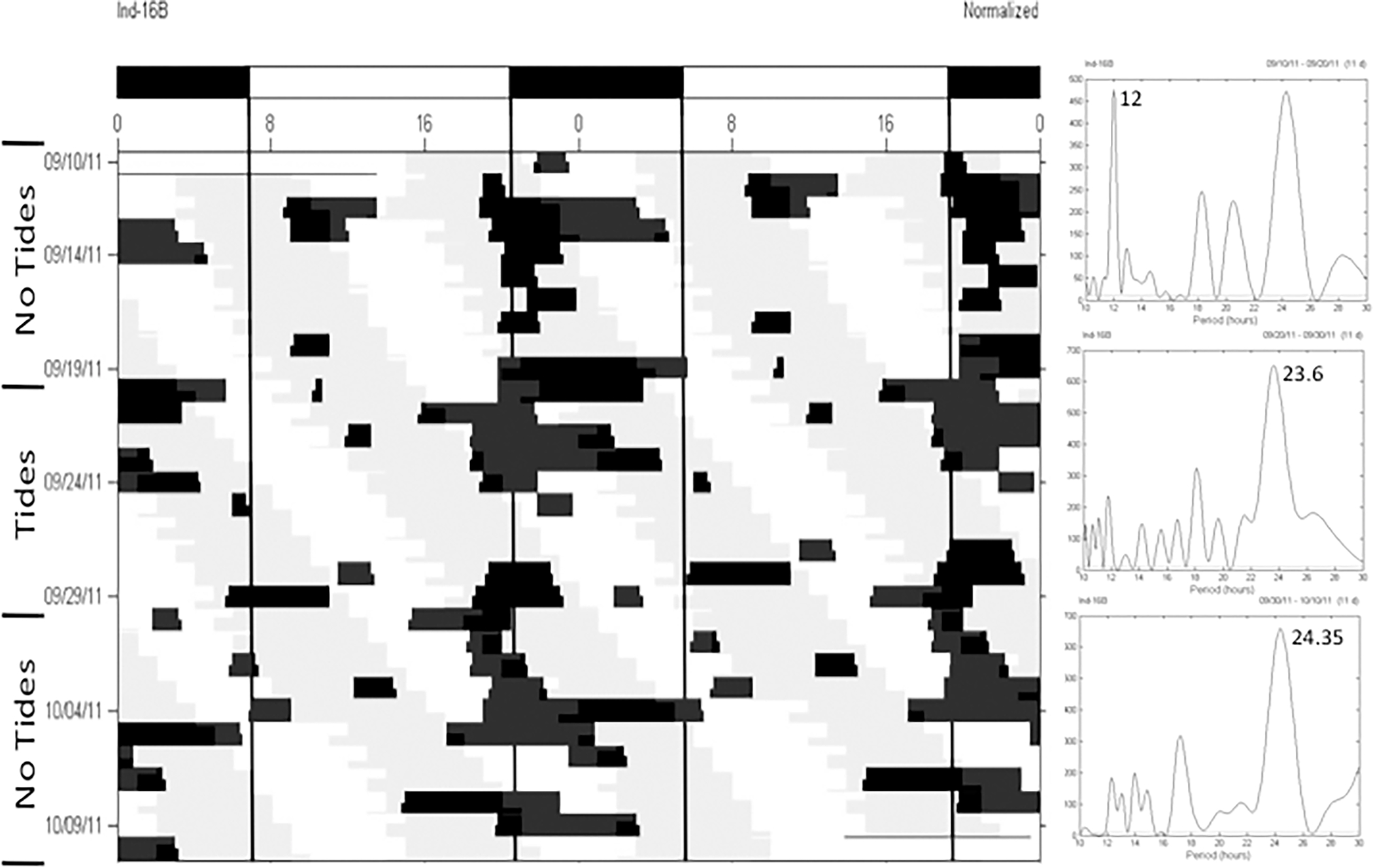 Figure 3.