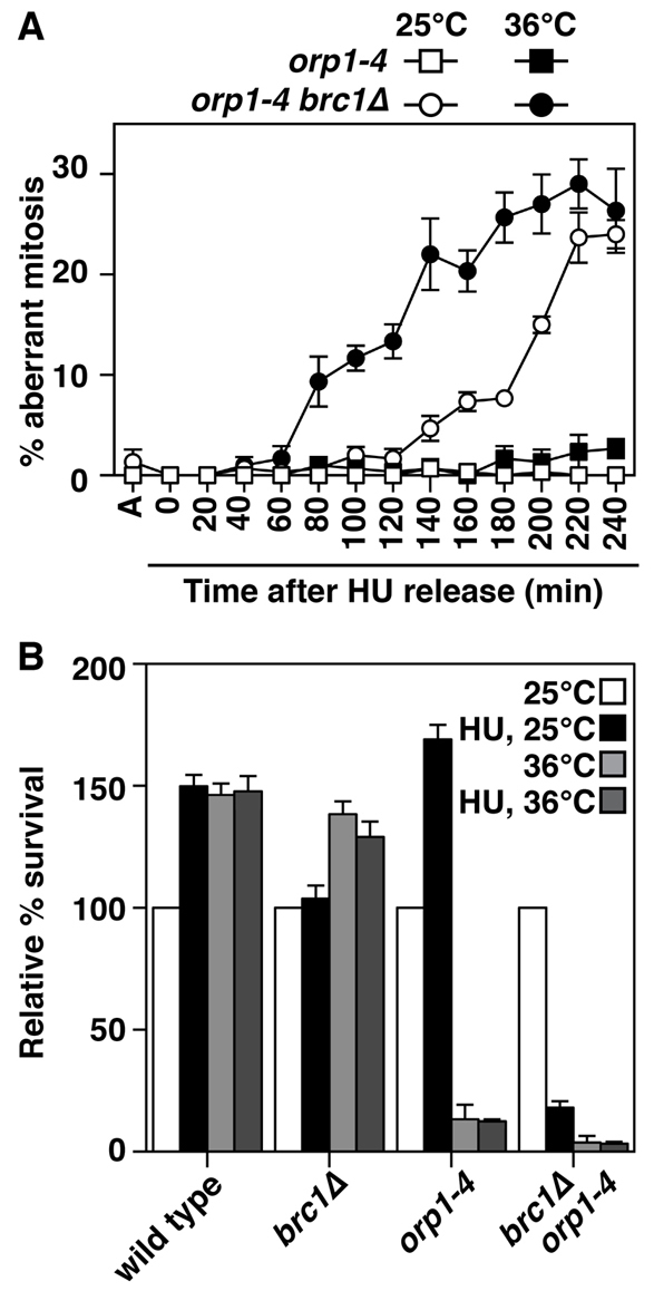 Fig. 9.