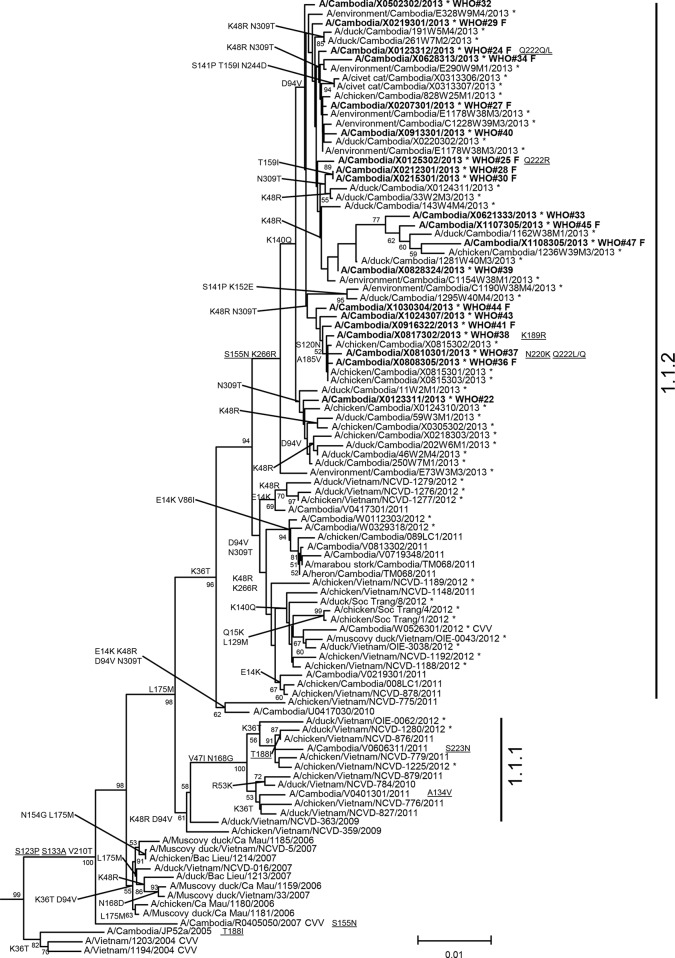 FIG 1