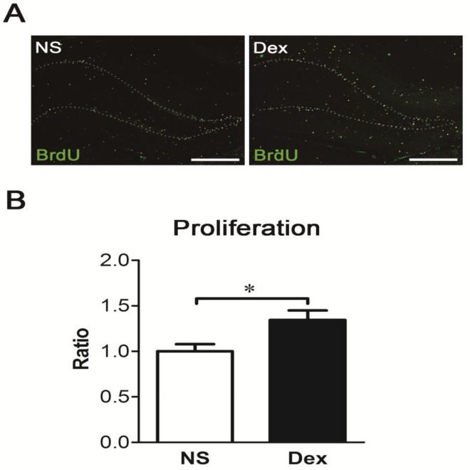 Fig 7