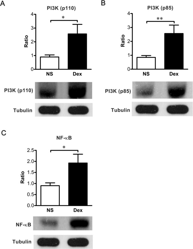 Fig 5