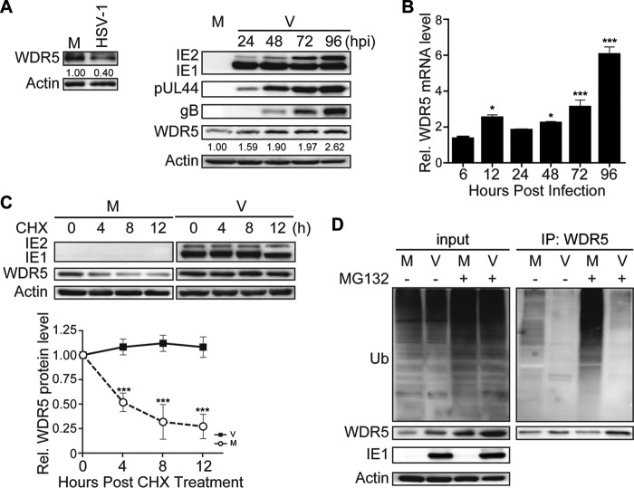 FIG 1