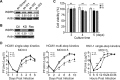 FIG 3