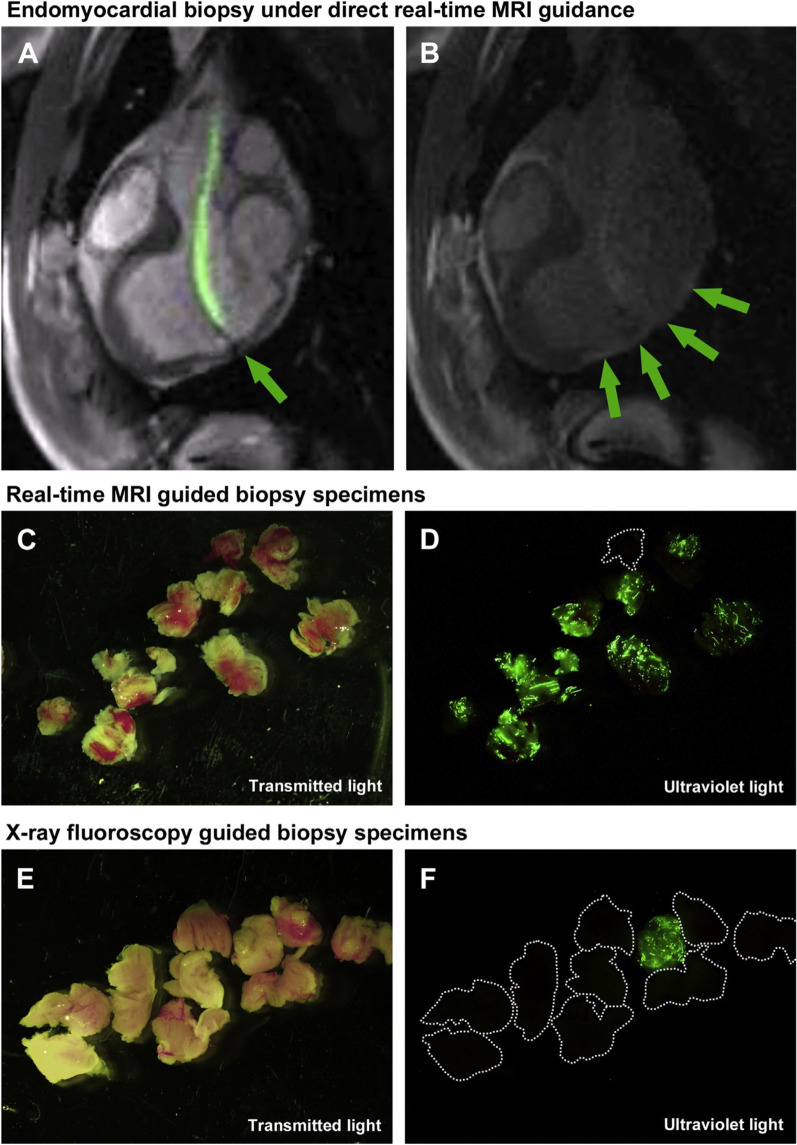 Fig. 8