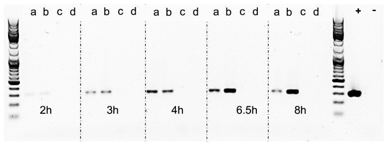 Figure 7