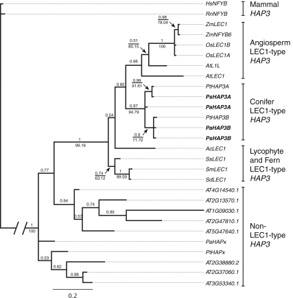 Fig. 3