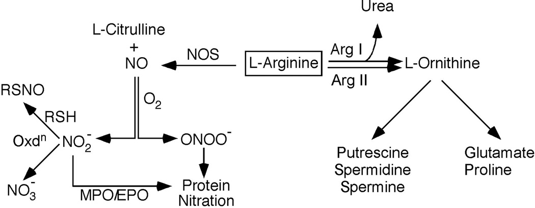 Fig.1