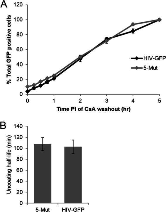 FIG 4