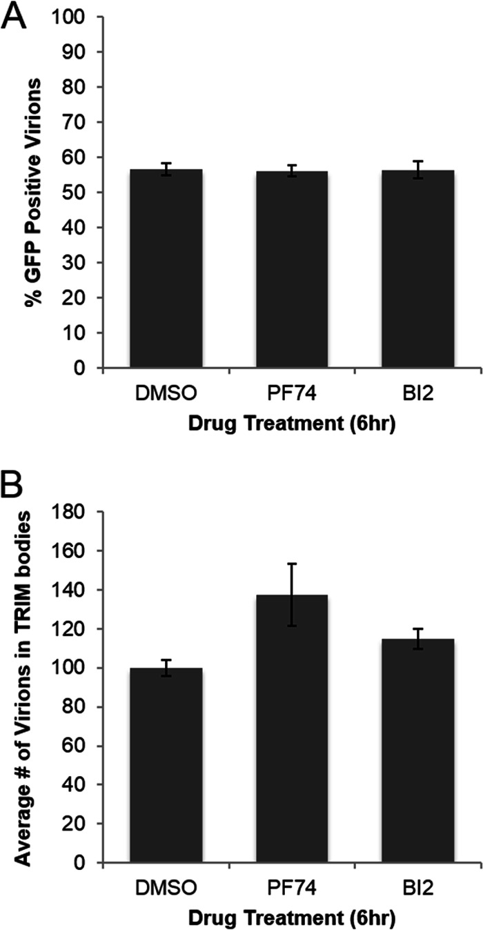 FIG 2