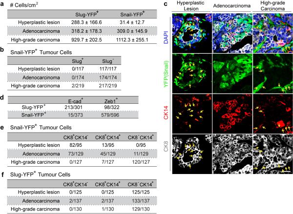 Extended data figure 2