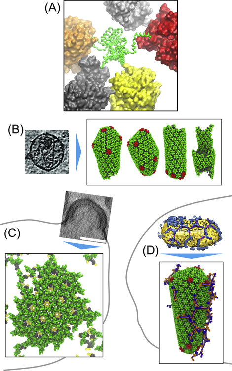 Figure 4.