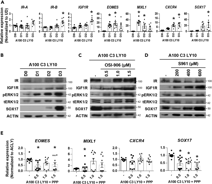 Figure 4