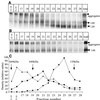 FIG. 12