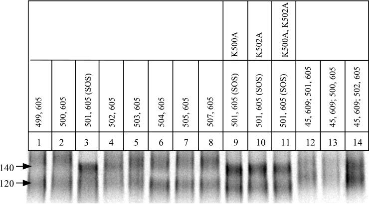 FIG. 7