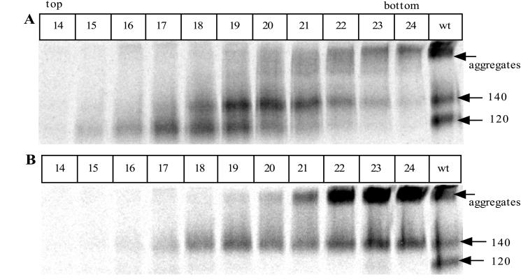 FIG. 11