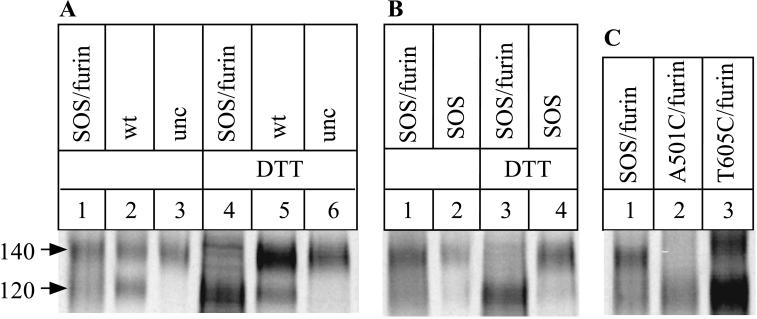 FIG. 6