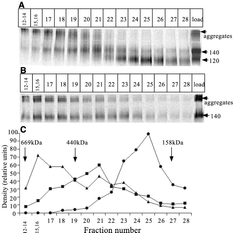 FIG. 12