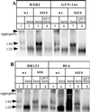 FIG. 10