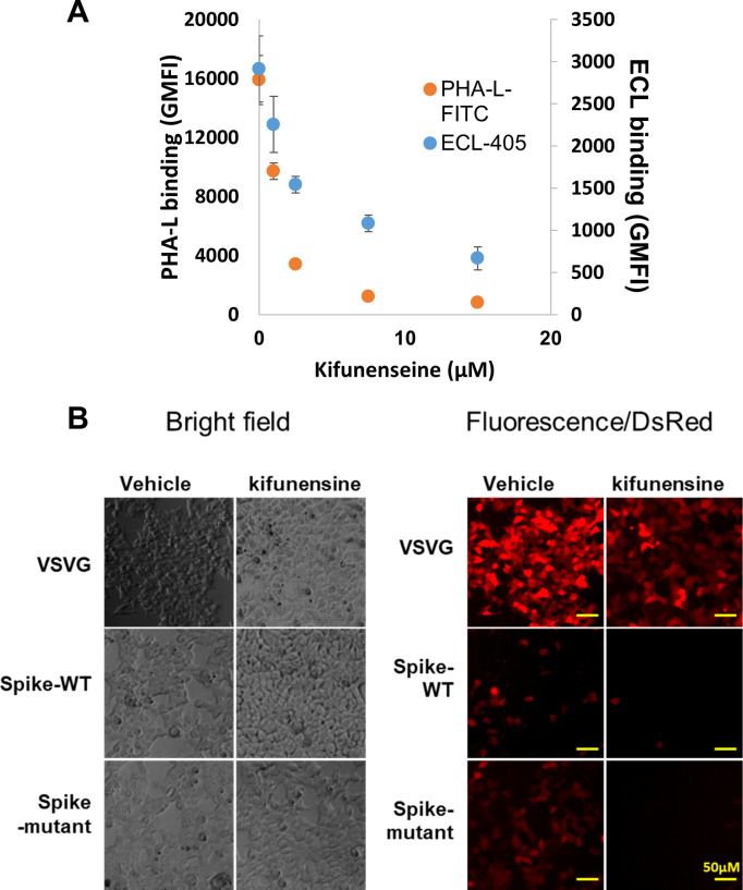 Figure 5—figure supplement 1.