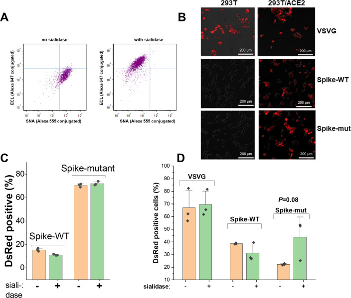 Figure 2—figure supplement 1.