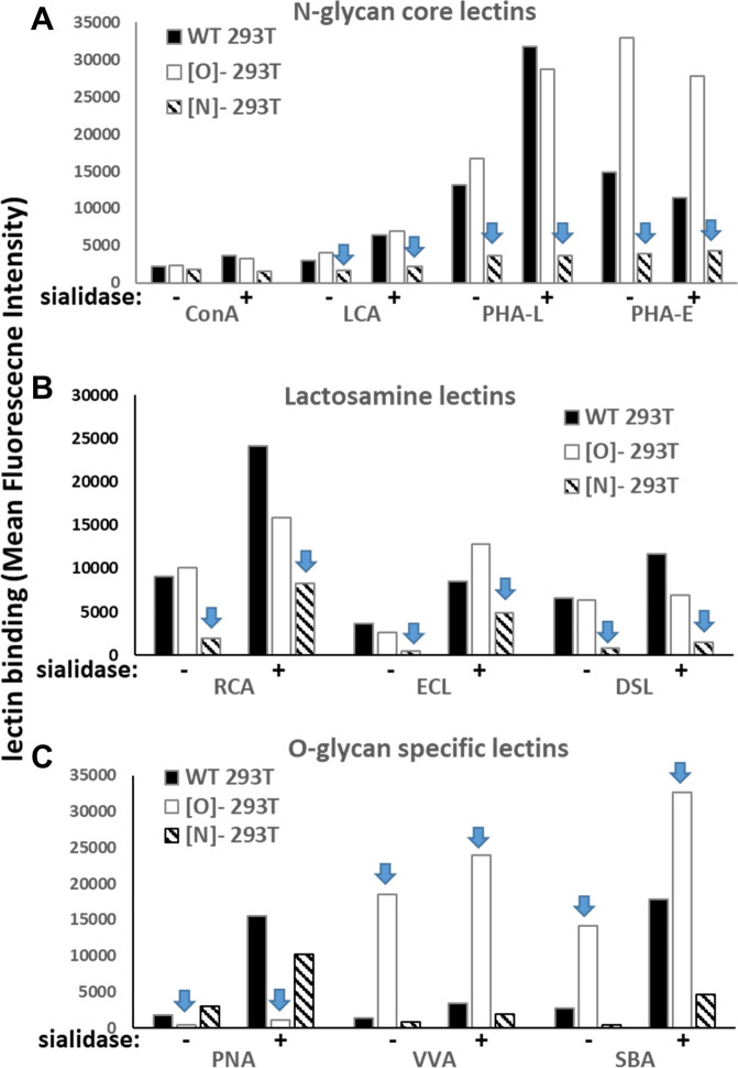 Figure 3—figure supplement 1.