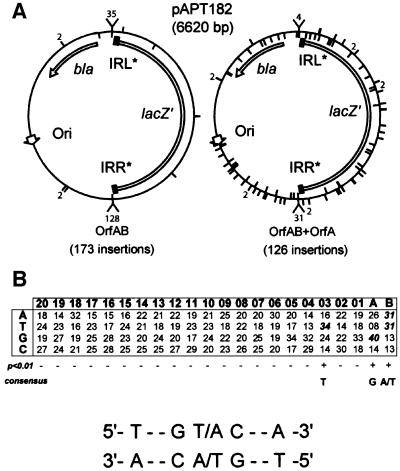 graphic file with name cdf403f7.jpg