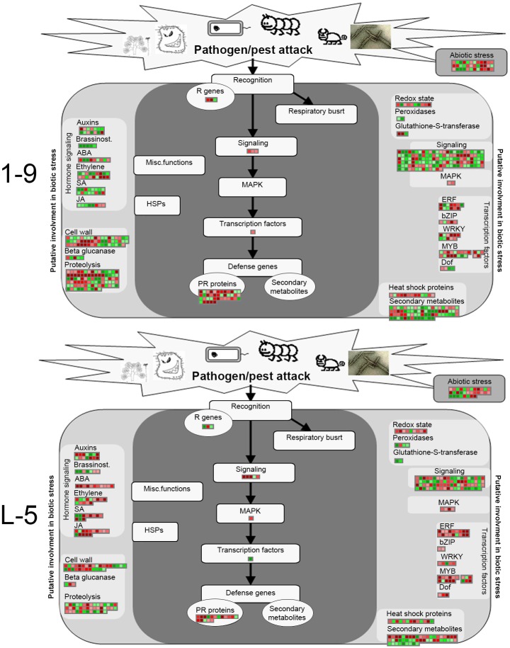 Fig 6