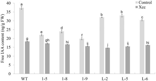 Fig 2