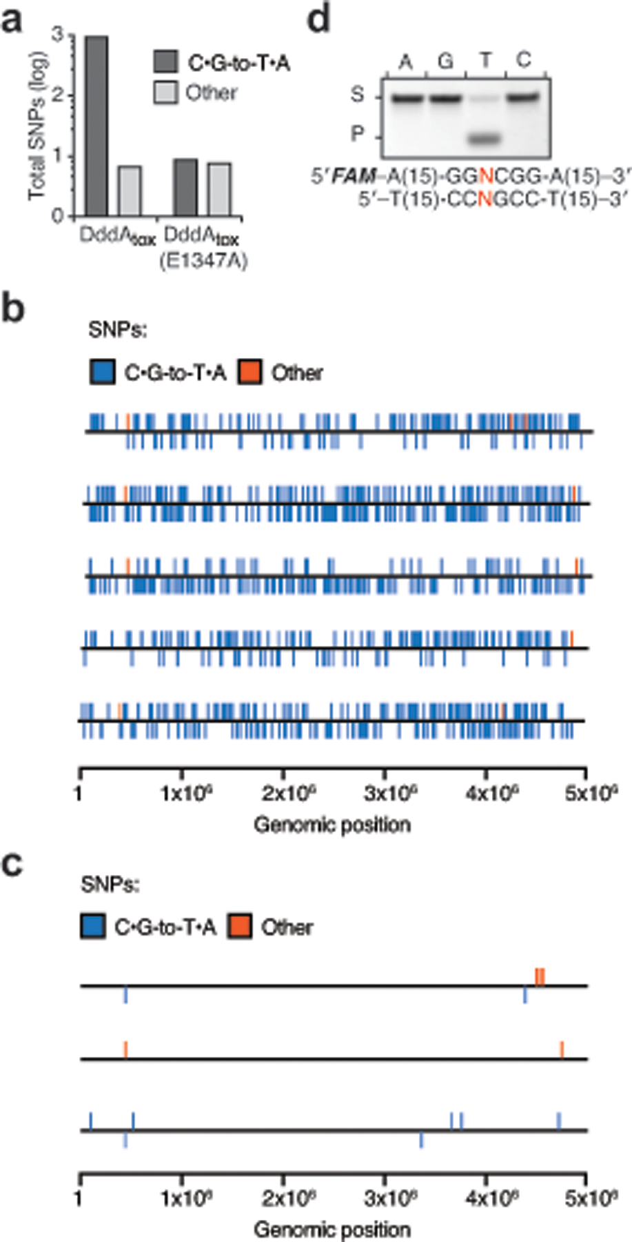 Extended Data Fig. 2 |