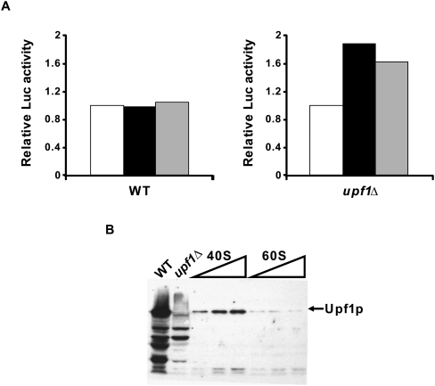 FIGURE 9.