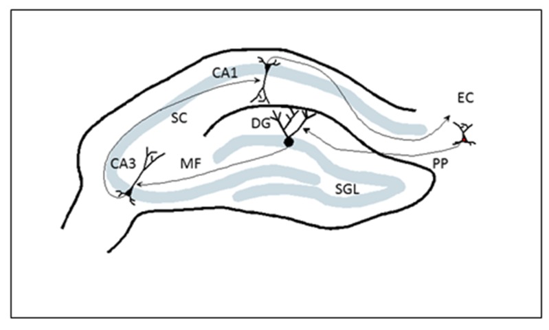 Figure 1: