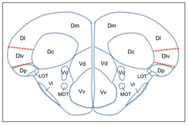 Figure 2.