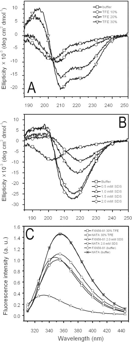 Fig. 5