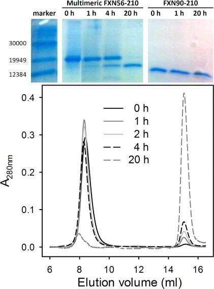 Fig. 3