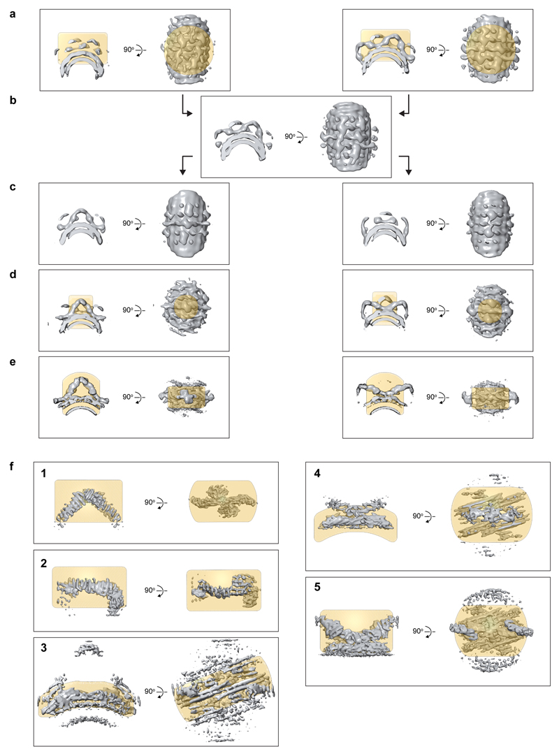 Extended Data Figure 2