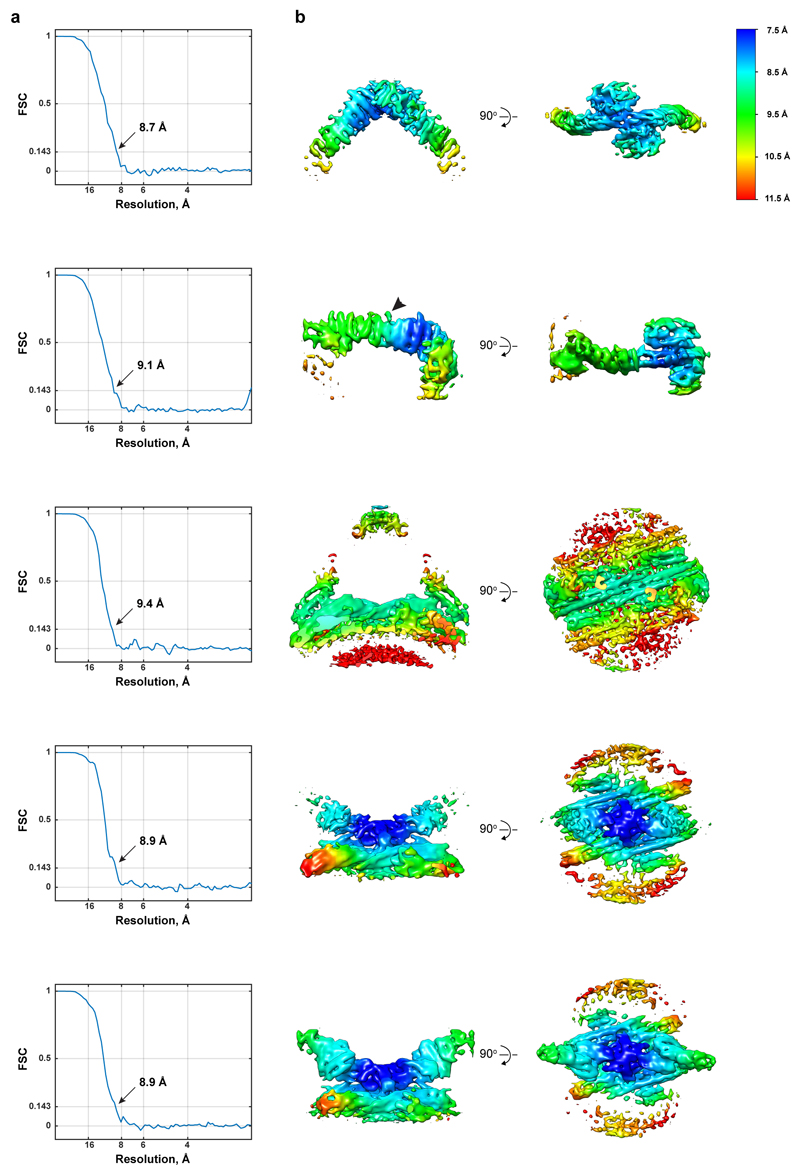 Extended Data Figure 3