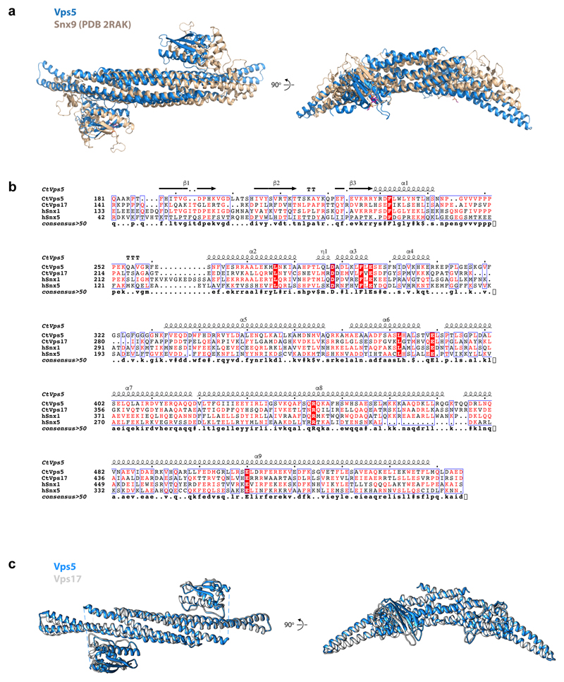 Extended Data Figure 6