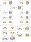 Extended Data Figure 2