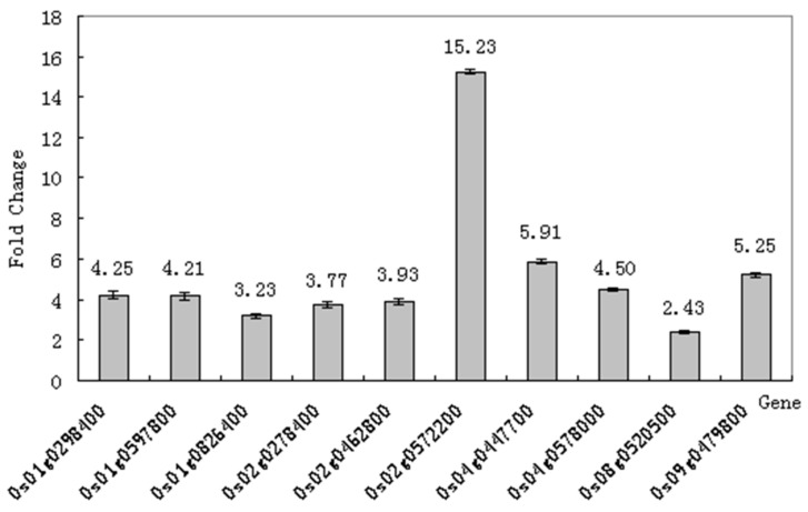 Figure 6