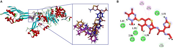 Figure 4