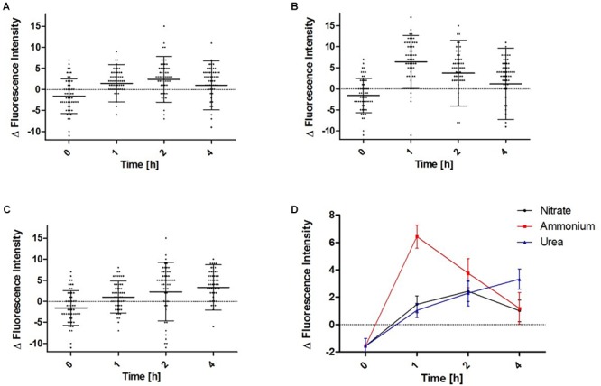 FIGURE 11