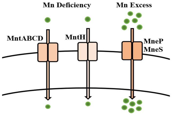 Figure 9