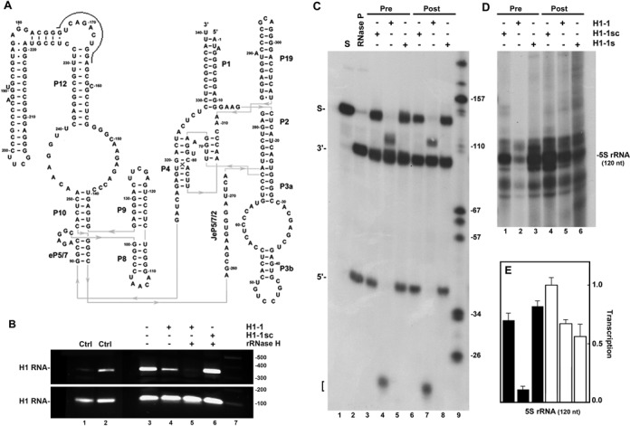 Figure 1.