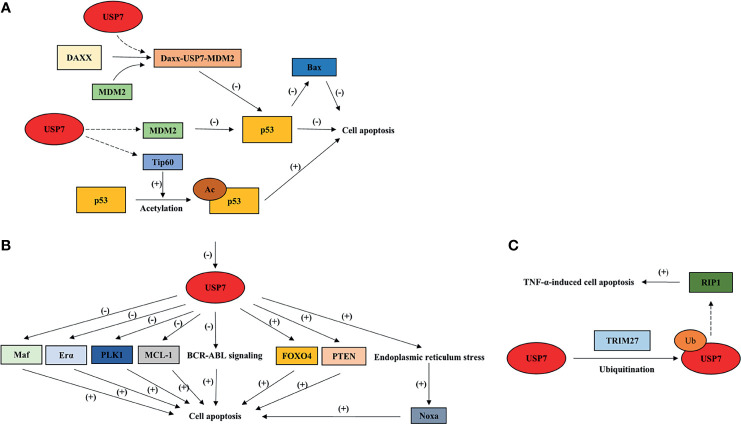 Figure 4