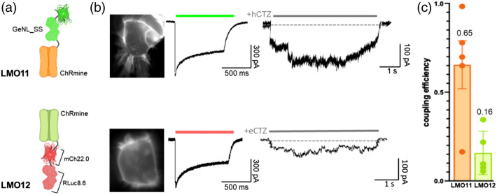 Fig. 7